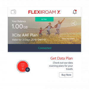 Flexiroam Steps Icon-04