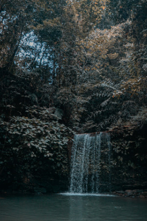 Waterfall Hunting