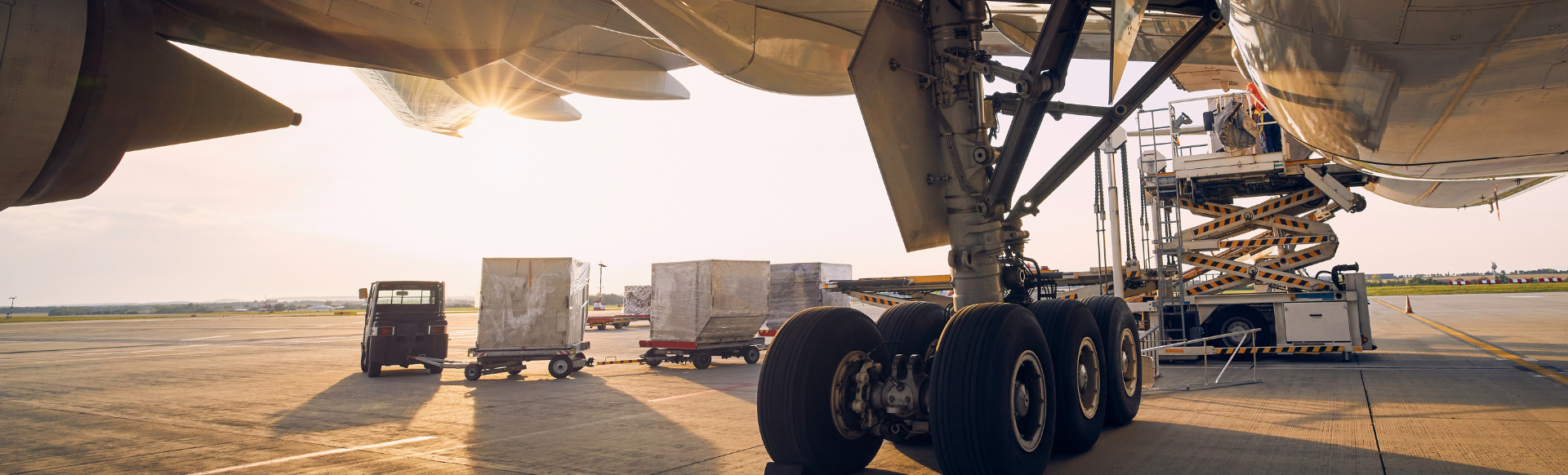 Flight Cargo Information