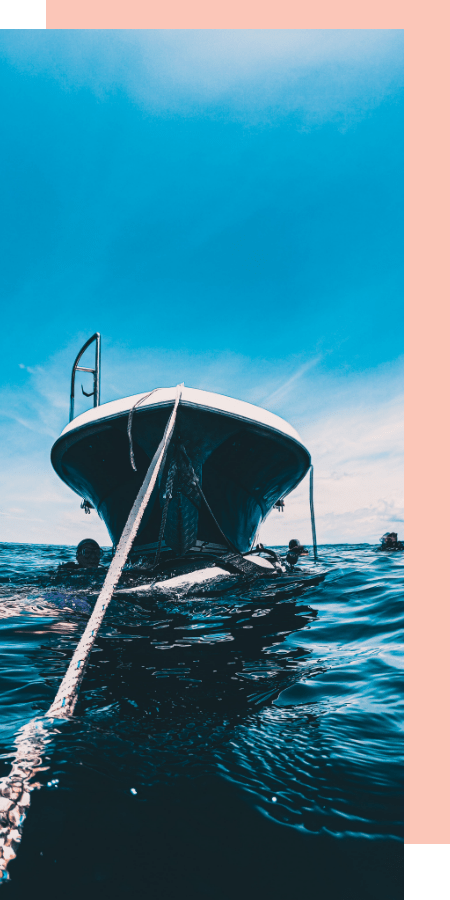 A doze of vitamin sea-FEATURE