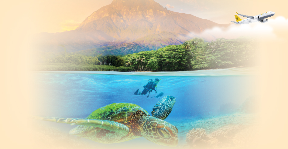 Seamless Connection to Kota Kinabalu | From Singapore | Royal Brunei Airlines