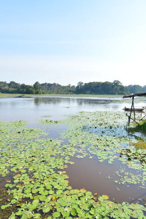 Tasek Merimbun